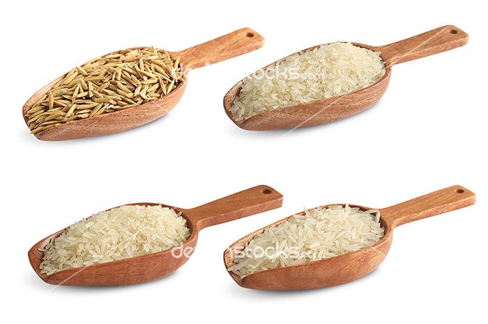 wheat-rice-jau-barley-seeds